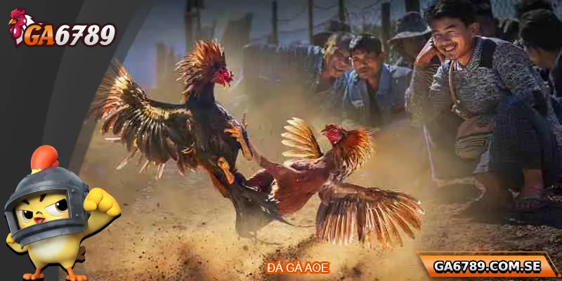 Đá Gà AOE – Sân Chơi Đỉnh Cao Dành Cho Người Đam Mê